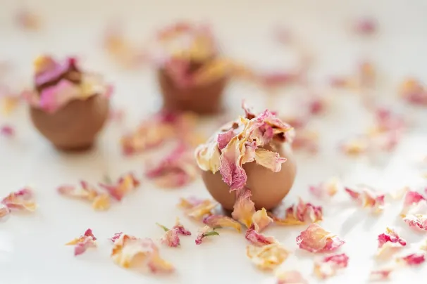 1굿벳 카지노 안드로이드/iOS 앱